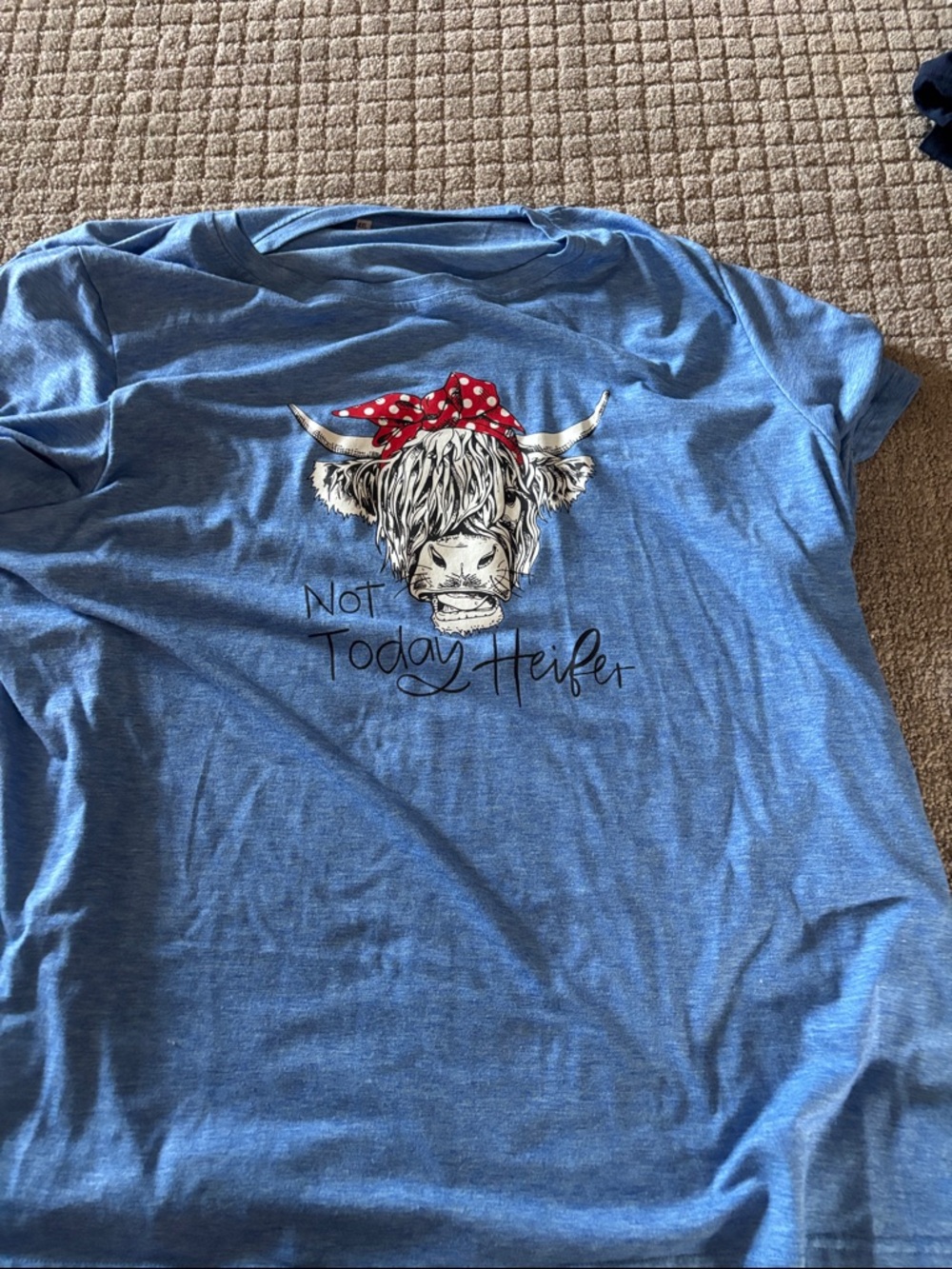 Blue Graphic Tee "Not Today Heifer"